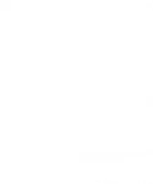 Need For Spin